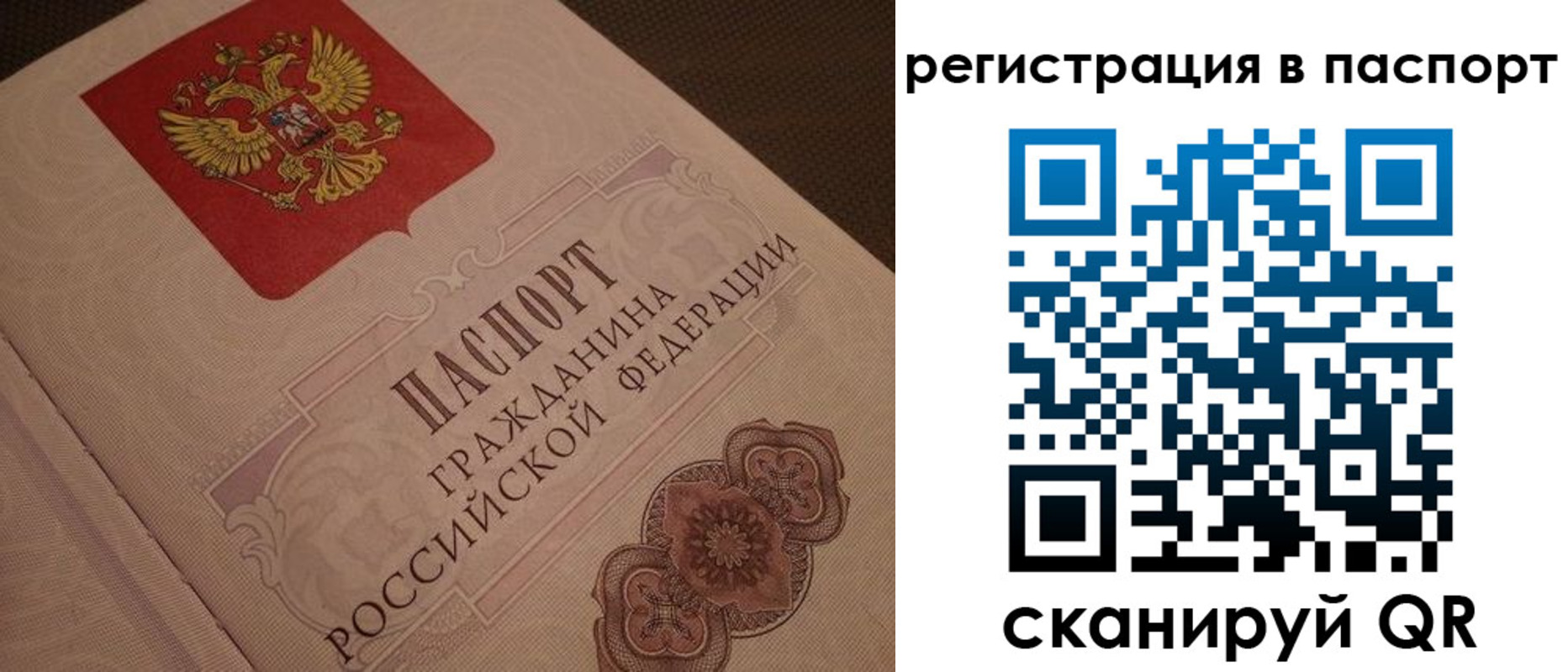 временная регистрация надежно в Калтане